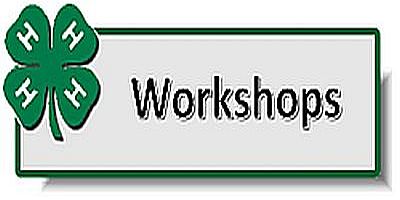 4-H workshops