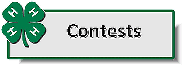 4-H Contests