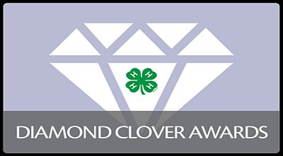 Diamond clover