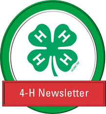 4-H Clover