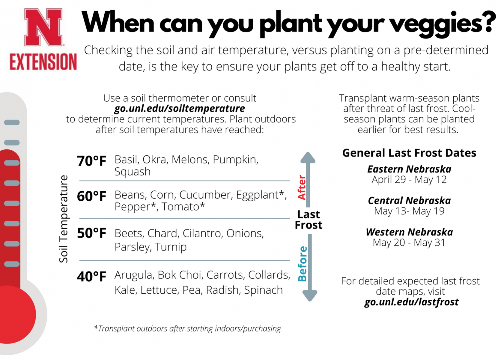 Vegetable Planting Temperature Guide