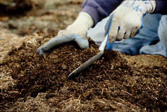 Amending Soil