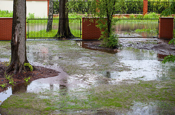 Flood in the Landscape Image