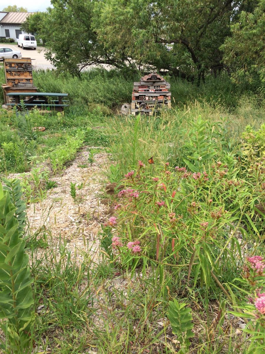 Pollinator Garden at Cherry Creek in Lincoln