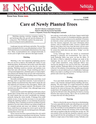 Care of Newly Planted Trees (G1195)