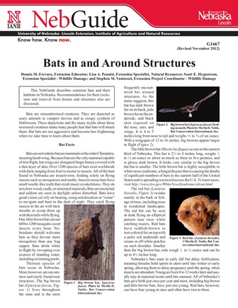 Bats in and Around Structures (G1667)