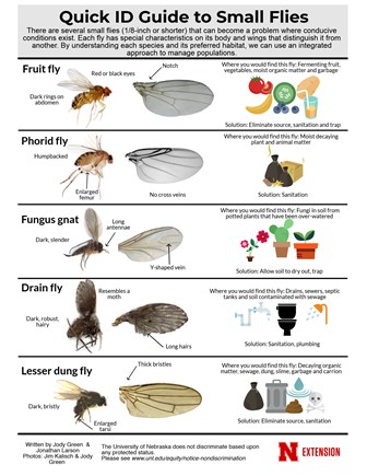 Insects | Nebraska Extension