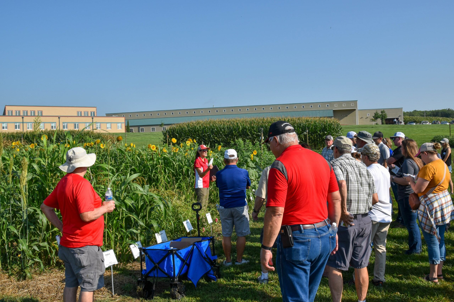 Cover Crops, Interseeding, and Soil Health Field Day