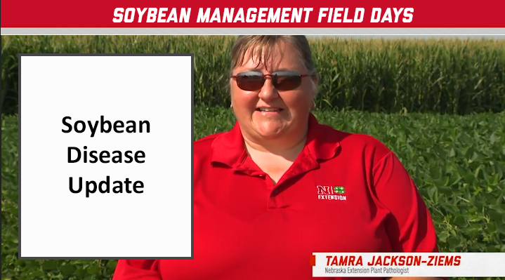 - 2021 Soybean Management Field Days - Soybean Disease Update 