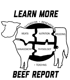 UNL Beef Report