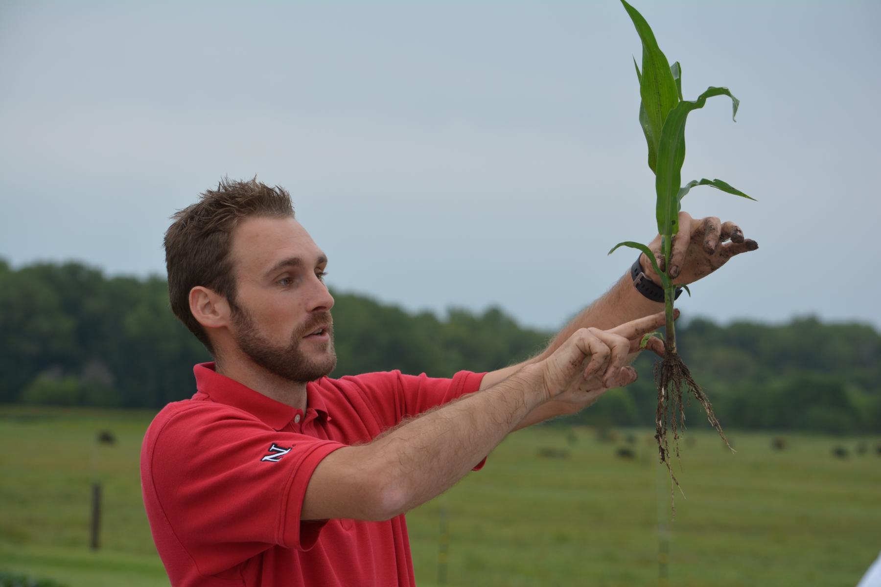 Researcher inspecting roots of a plant