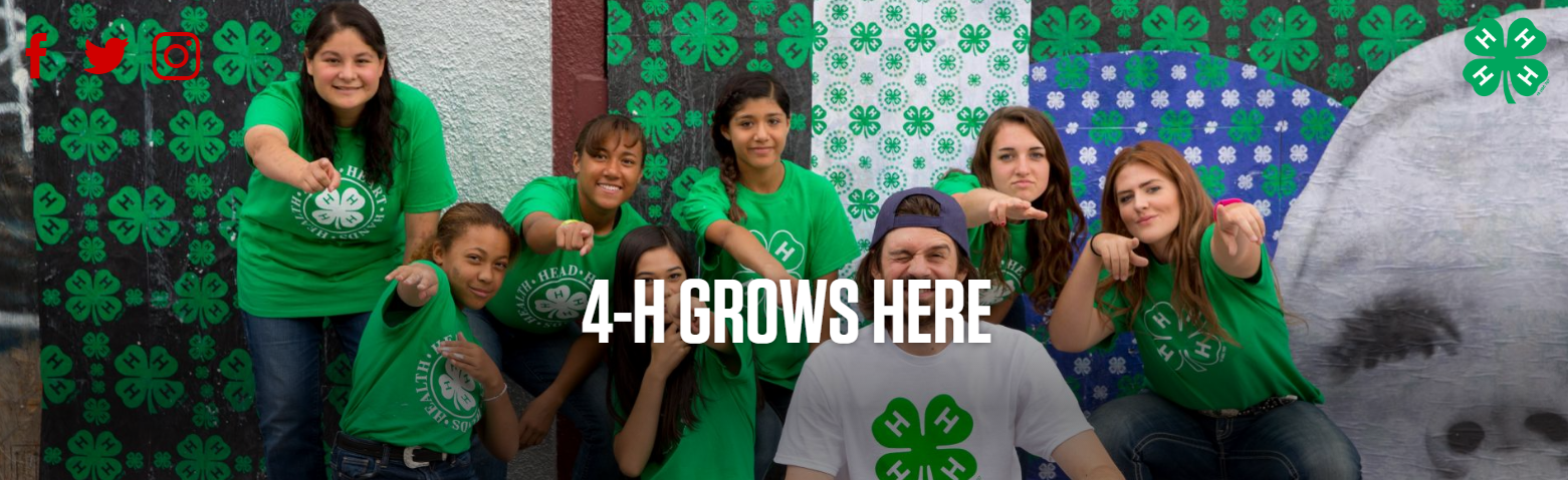 4-H students