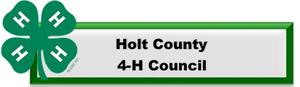 Holt County 4-H Council