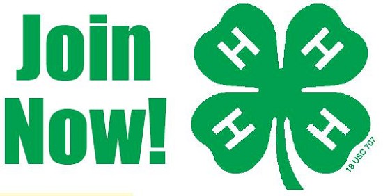 Join 4-H Now