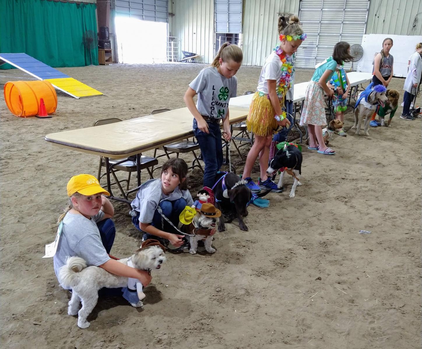 4-H Dog show competition