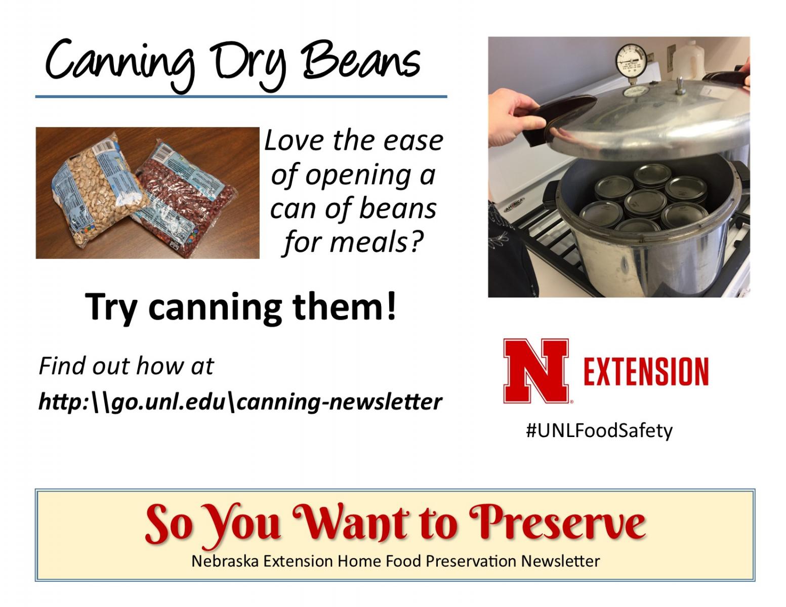 can dry beans to preserve them