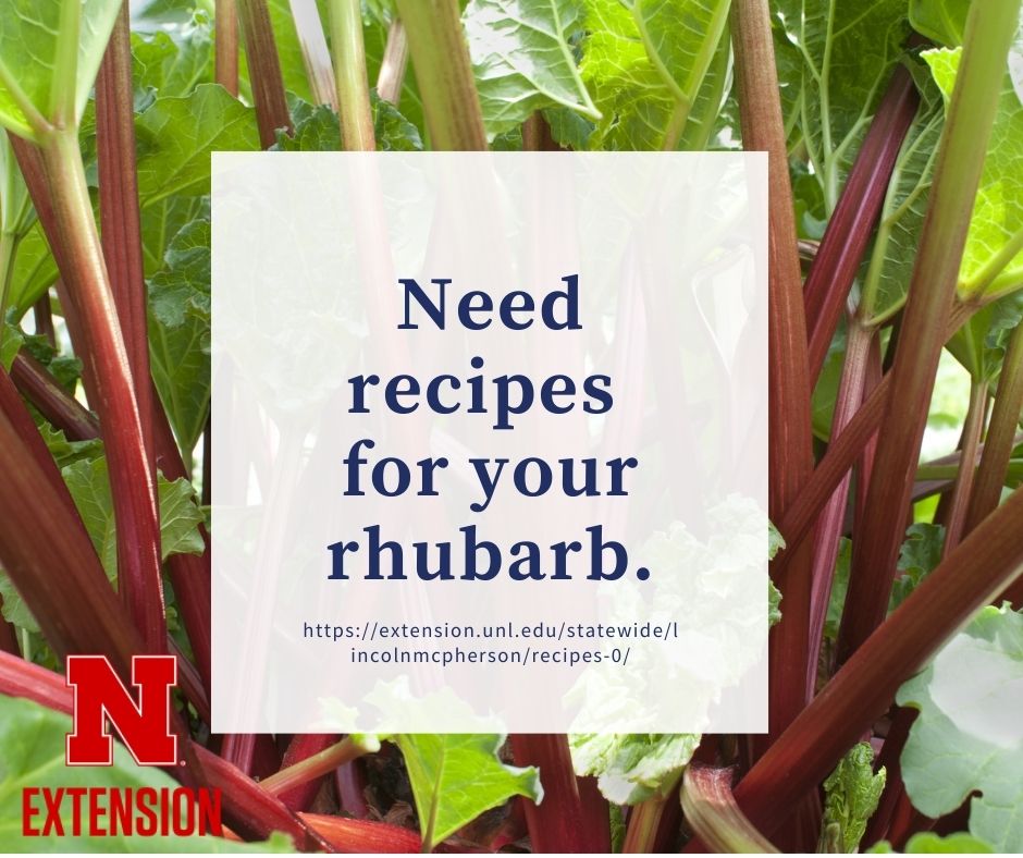 Need Recipes for your Rhubarb
