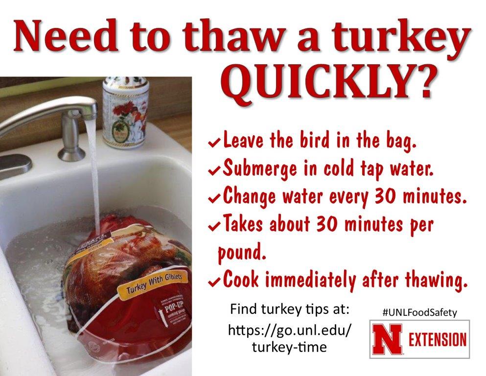 submerging turkey in cold tap water takes about 30 minutes per pound to thaw.