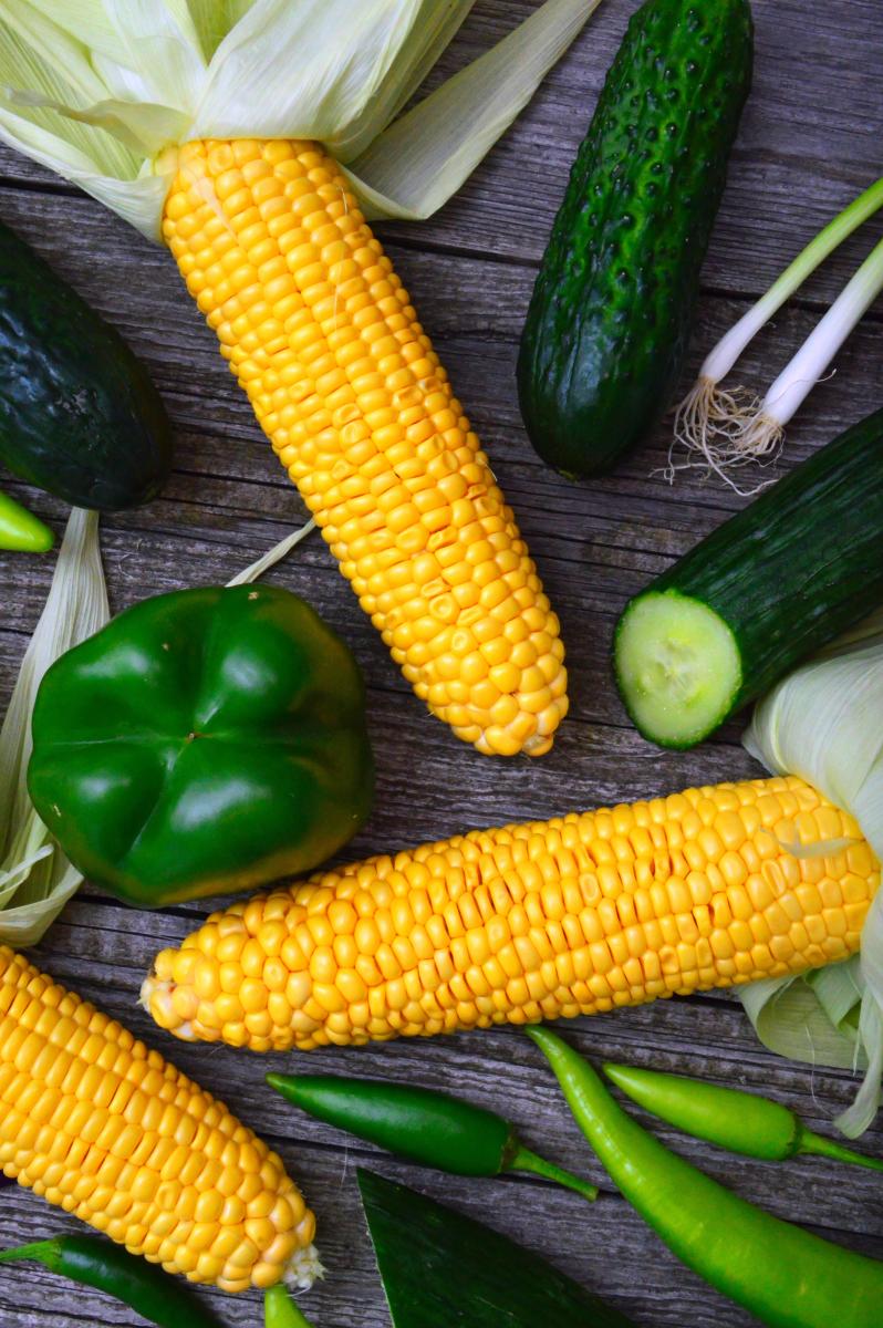 fresh picked corn on the cob, peppers, cucumber and onion