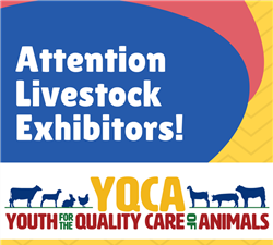 Youth for Quality Care of Animals logo