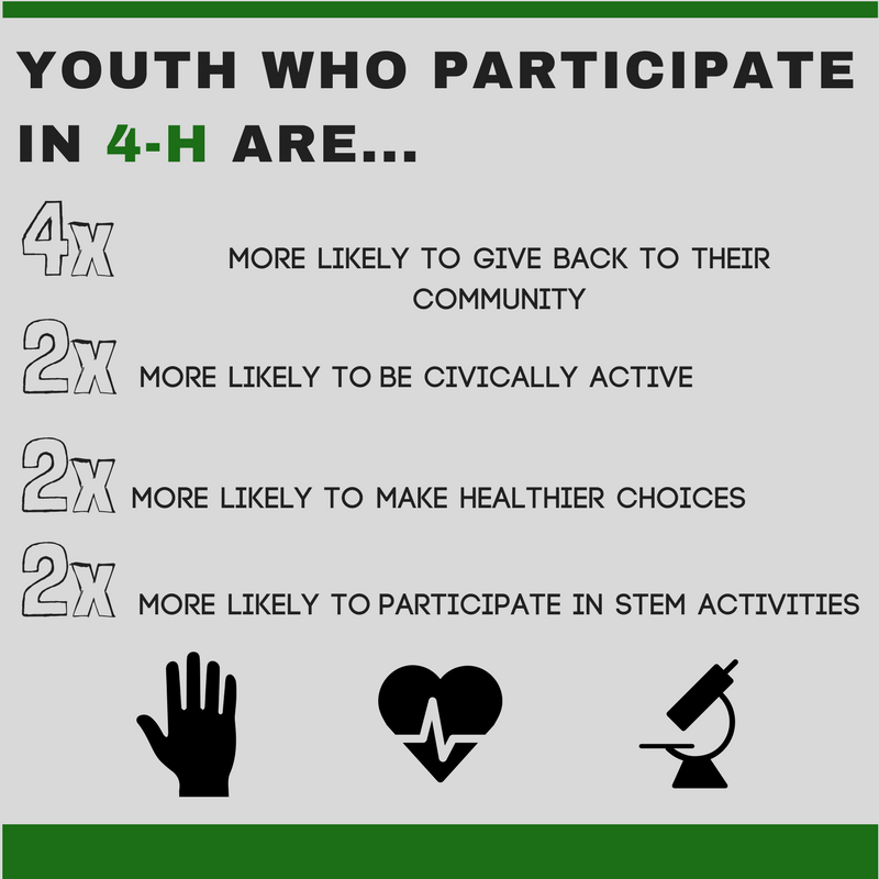 youth who participage in 4-H are more likely to give back to their community, be civically active, make healthier choices, and participage in STEM activities