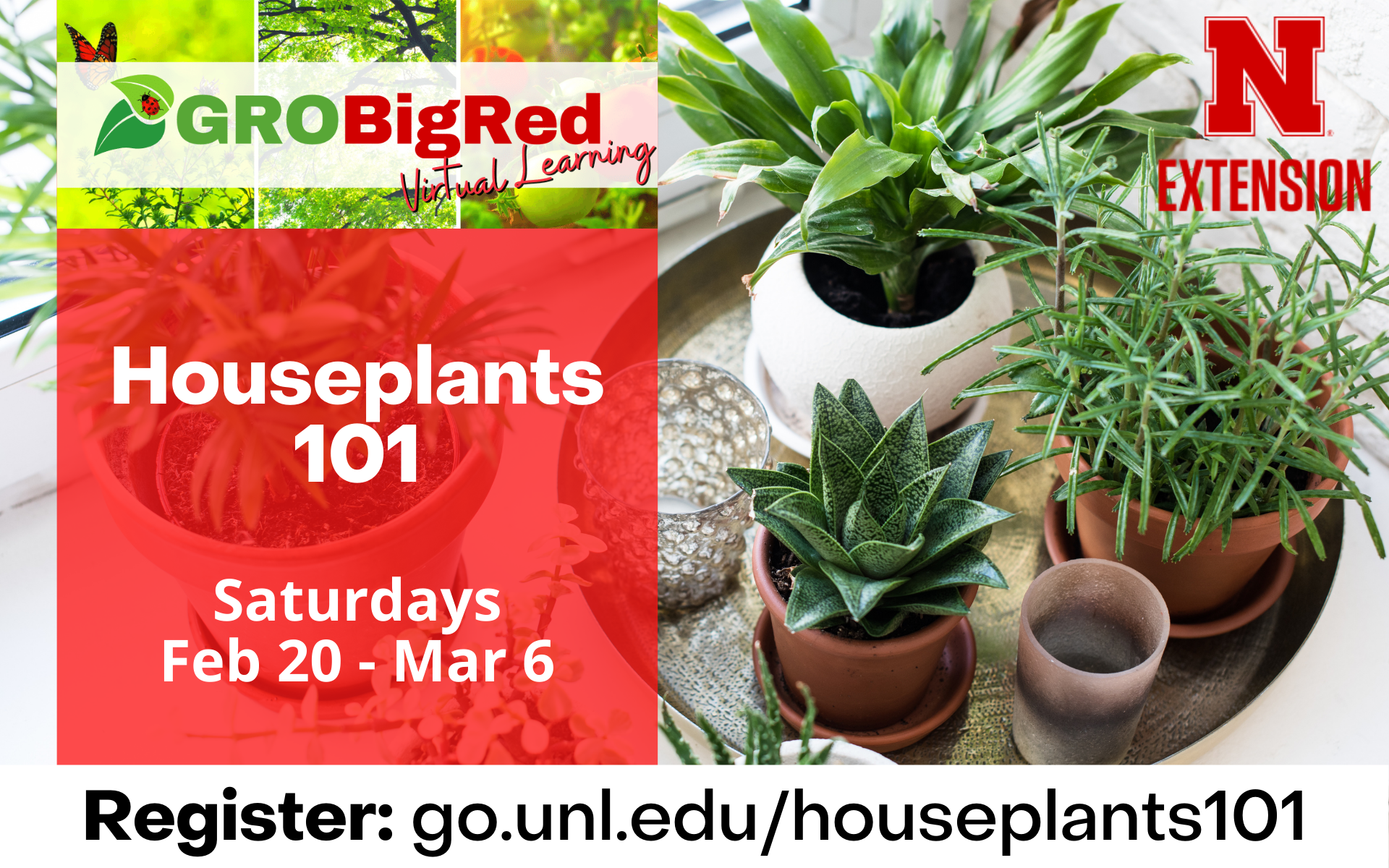 Houseplants 101, Saturdays February 20-March 6. register at go.unl.edu/houseplants101