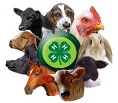 animals around a 4H logo
