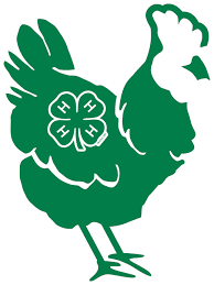 chicken with a 4H logo