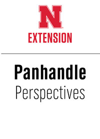 Panhandle Perspectives logo