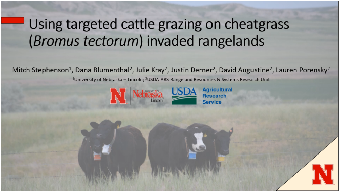 Using Targeted Grazing on Cheatgrass
