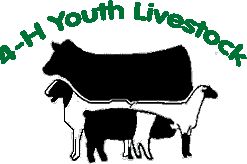 4-H Youth Livestock