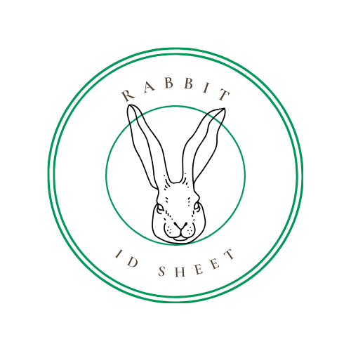 Rabbit ID Sheet