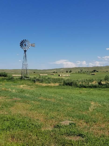 a windmill on a ranch