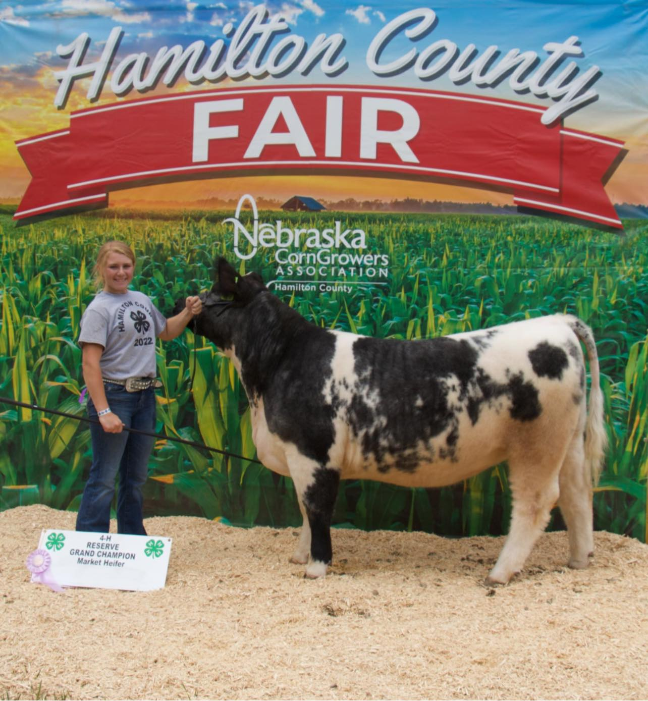 youth with cow at the Hamliton county fair