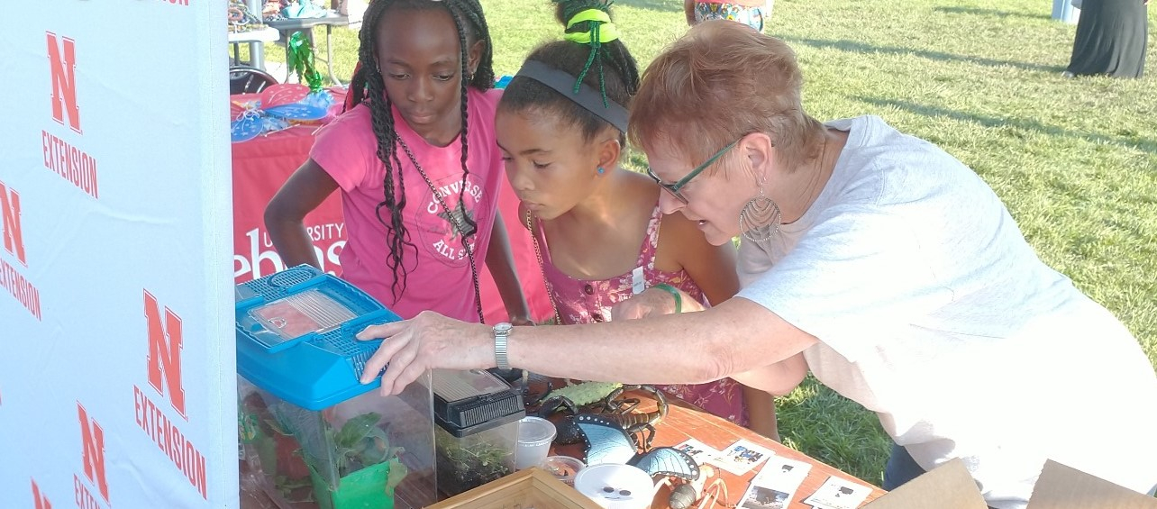 A woman and two girls looking at insects in a container on a table.